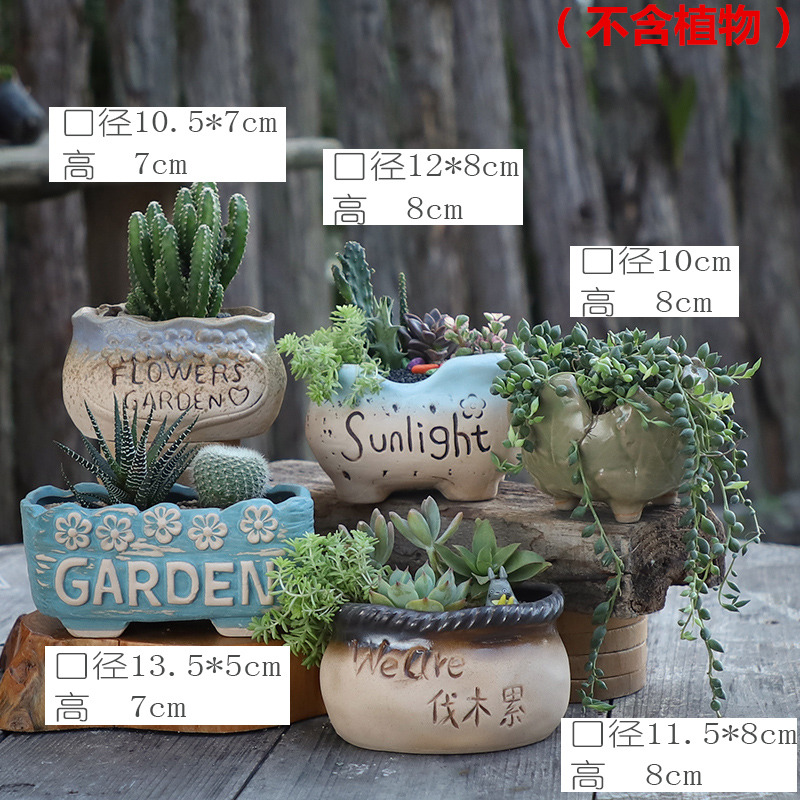 Fleshy flowerpot ceramic creative move meat meat plant kind contracted coarse pottery breathable special offer a clearance flowerpot