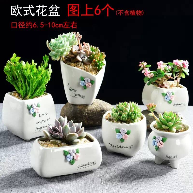 Large fleshy flowerpot ceramics special offer a clearance of creative move coarse pottery breathable meat meat the plants flower pot in Large caliber