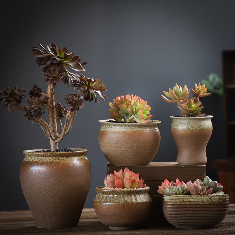 Fleshy flowerpot combination suit large creative move coarse pottery breathable flesh old running the restoring ancient ways is a flower pot special offer a clearance