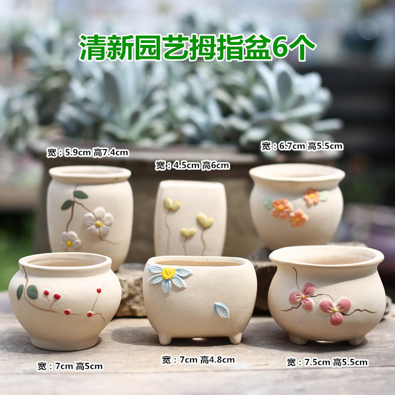 Fleshy flowerpot ceramic creative move meat meat plant kind contracted coarse pottery breathable special offer a clearance flowerpot