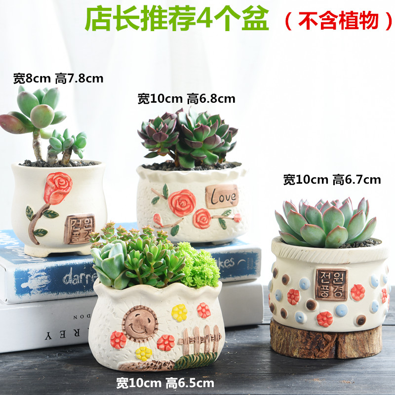 Fleshy flowerpot ceramic creative move meat meat plant kind contracted coarse pottery breathable special offer a clearance flowerpot