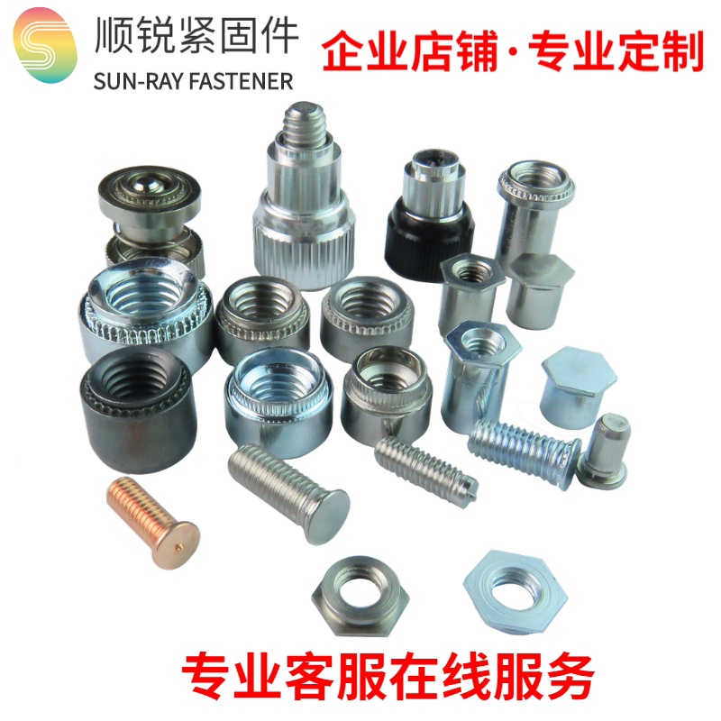 Customize Non-Label press riveting with various material nut screw nut posts