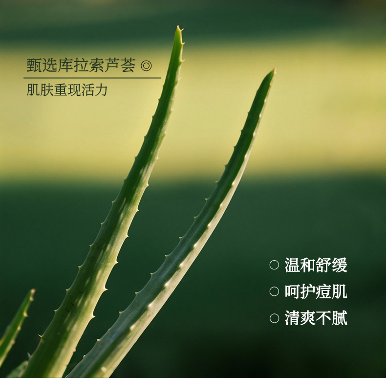 淮树金银花清颜乳霜50g 秋冬补水保湿修护面霜清爽旗舰店护肤品