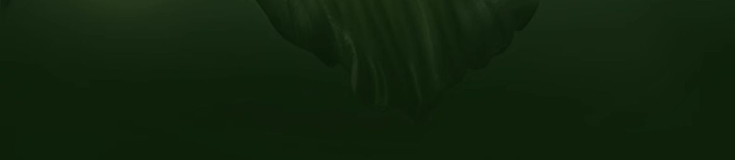 淮树金银花清颜乳霜50g 秋冬补水保湿修护面霜清爽旗舰店护肤品