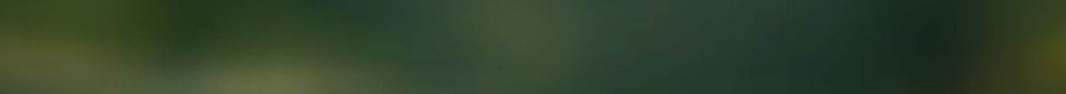 淮树金银花清颜乳霜50g 秋冬补水保湿修护面霜清爽旗舰店护肤品