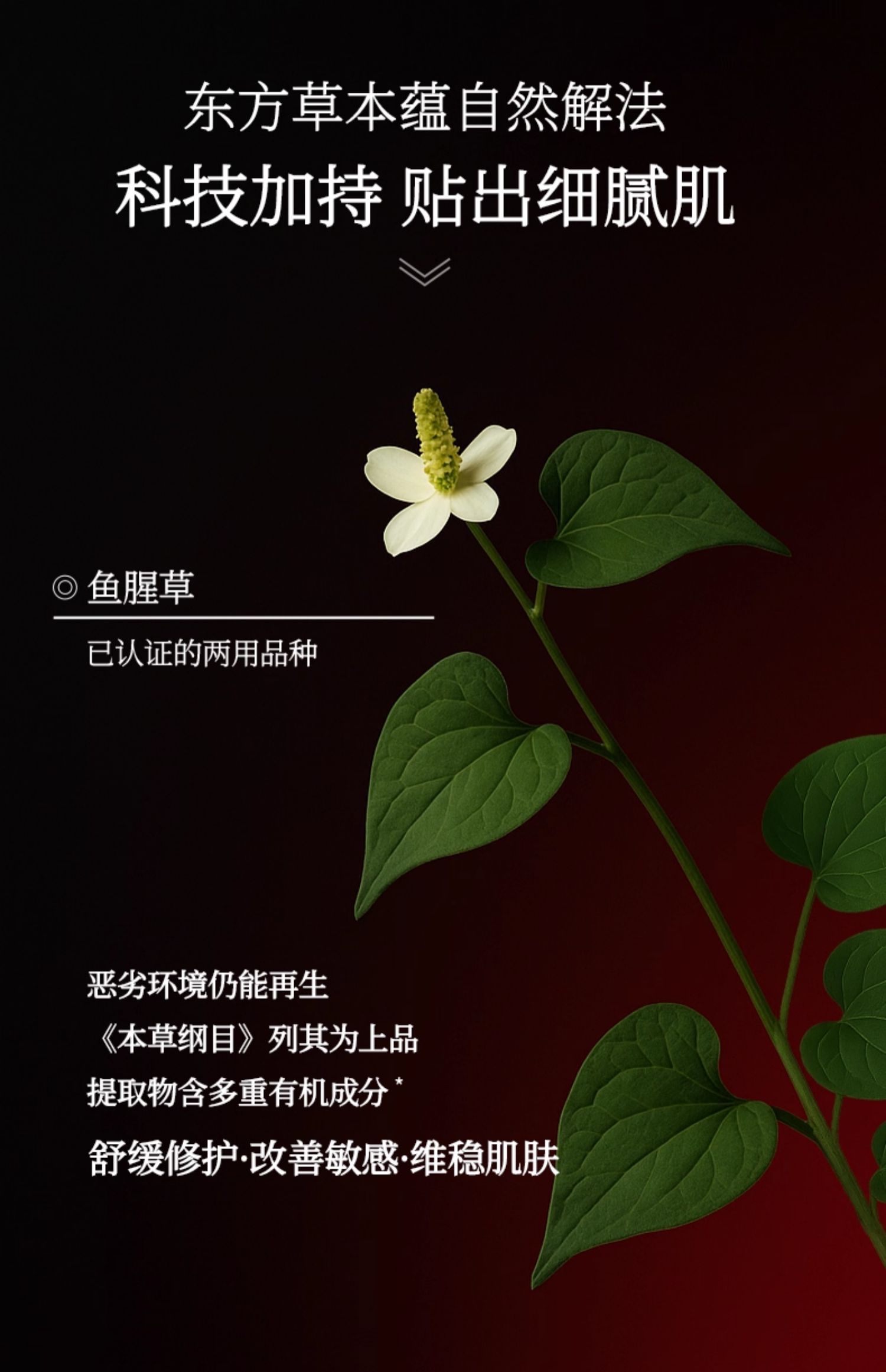 淮树鱼腥草润颜面膜 补水保湿舒缓滋养免洗干性敏感肌肤面膜