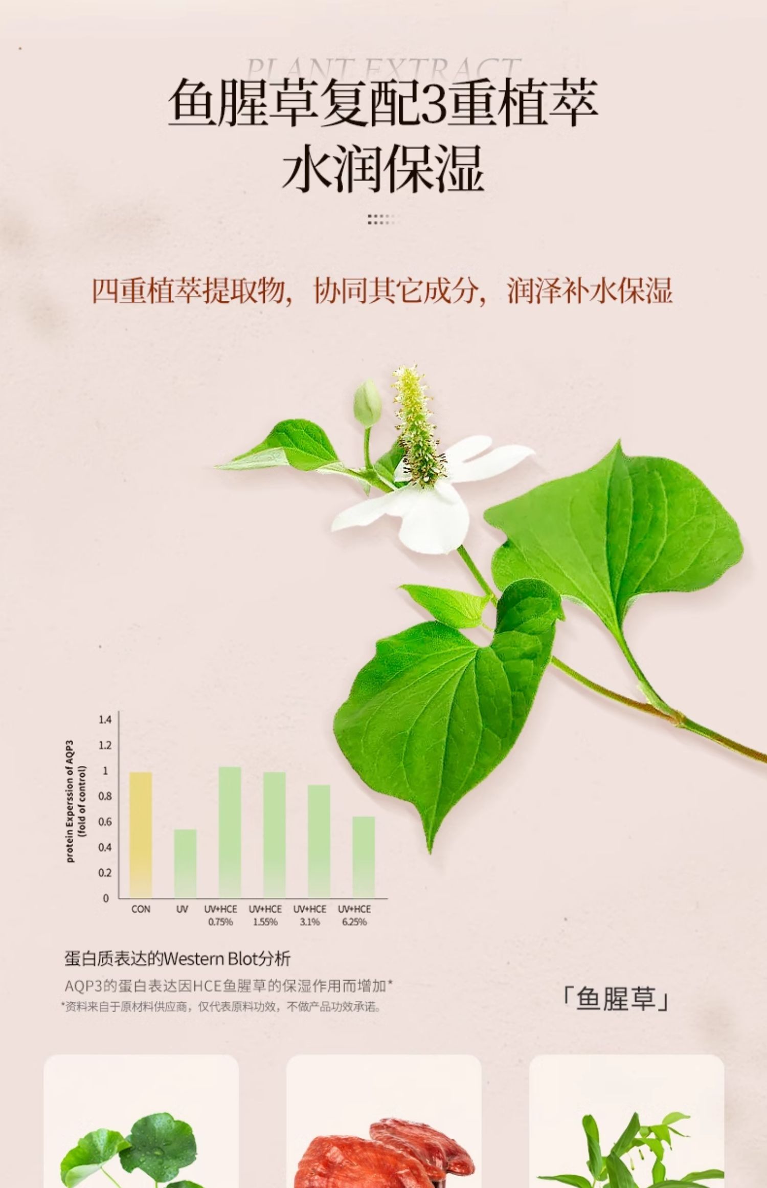 淮树鱼腥草润颜精华乳 补水舒缓修复敏感肌肤温和官方正品防伪码可查