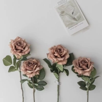 Одиночная розовая кофе 5