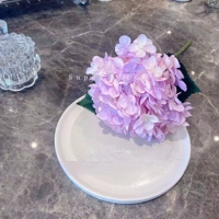 Летняя гортеня фиолетовый