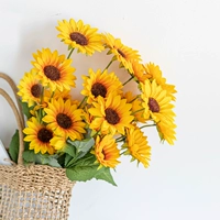 3 -заголовок подсолнечника 3