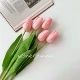 Тюльпаны 5 глубокий порошок