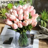 西湖蝶 10 жир мини -моделирование тюльпан