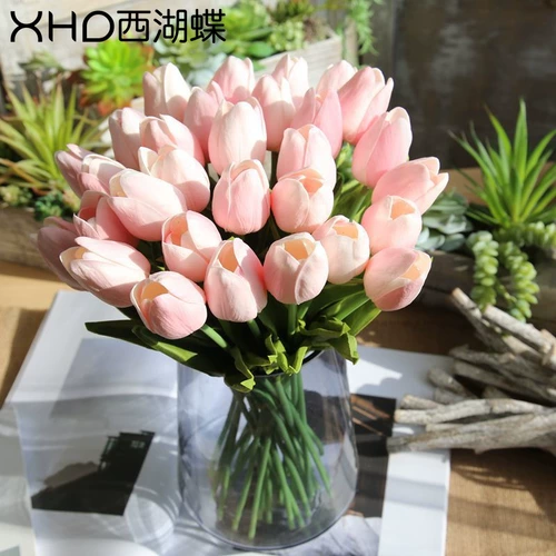 西湖蝶 10 жир мини -моделирование тюльпан