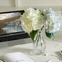 Бутылка для листовой стеклянной бутылки+2 летняя гортеня (белый 1, синий 1)