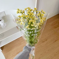 Coco Chrysanthemum 5 желтый