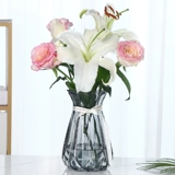 [Три -купольный набор] Творческая нордическая стеклянная ваза ожидание гидропонные растения богатые бамбуковые цветочные цветочные пластины