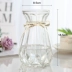 Châu Âu sáng tạo bình thủy tinh màu trong suốt thủy canh pothos vật có hoa huệ bình hoa trang trí phòng khách Vase / Bồn hoa & Kệ