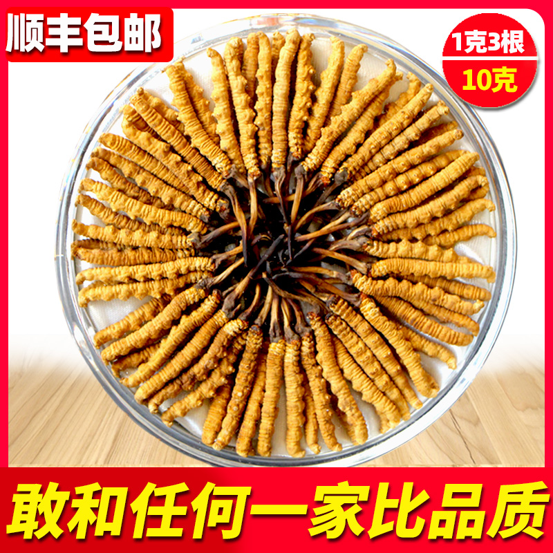 (Boutique) Cordyceps sinensis official flagship store fresh dry goods Cordyceps 1g 3 pieces 10g gift box