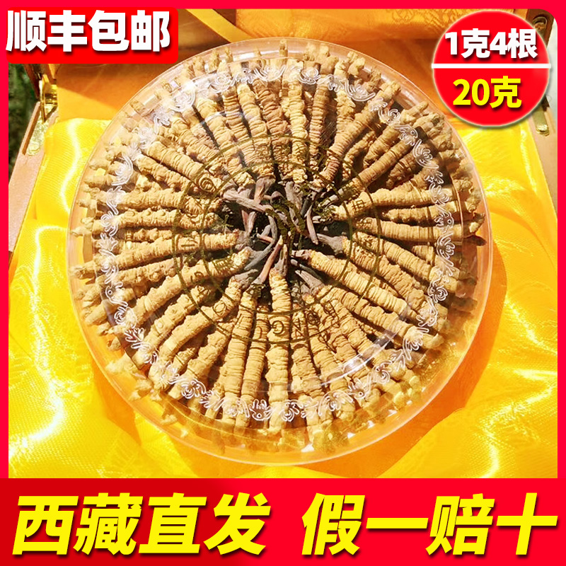 (Zang Huige) Authentic Cordyceps official flagship store Cordyceps dry 1 gram 4 20 grams gift box box