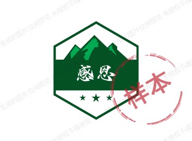 残疾人创业梦