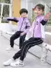 New primary school uniform sports suit Kindergarten garden suit Three-piece set spring and autumn children's clothing class clothes pure cotton wind