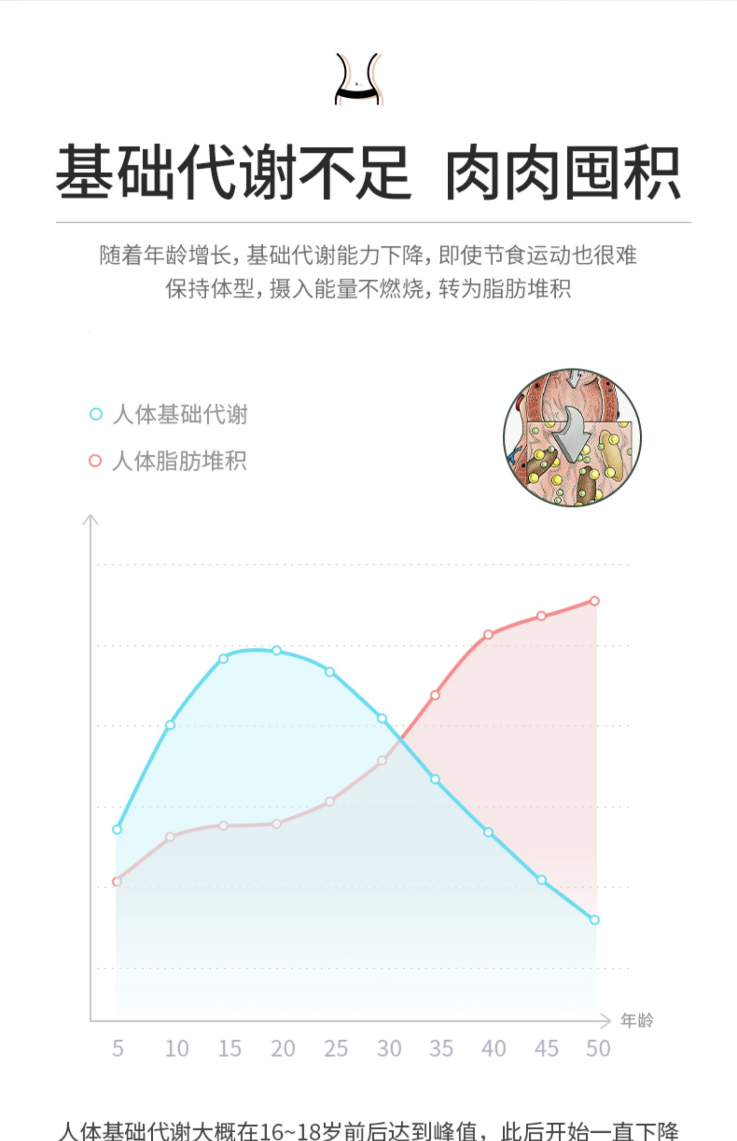 丝蓓缇黑生姜排湿暖身酵素150粒*3盒