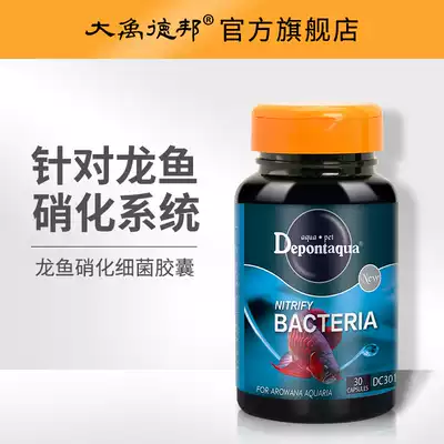 Dayu Debang nitrifying bacteria capsule Red dragon special digestive bacteria Aquarium nitrifying bacteria live bacteria Nitrifying bacteria