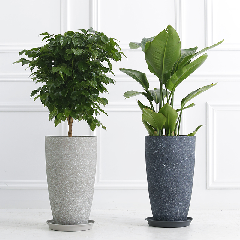 High-mode cement flower pot Living room landing green plantation tree paradise bird special flower pot plastic large clearing