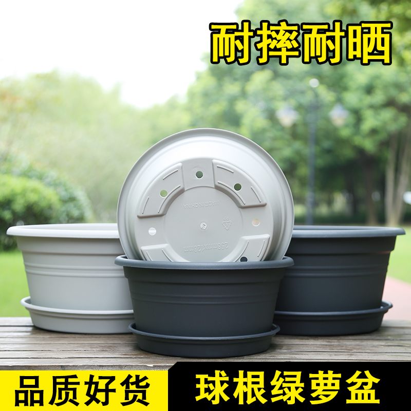 Chunky ball root pot gold Ge pot lily tulip seed ball potted Nordic simple plastic flower pot large clearance