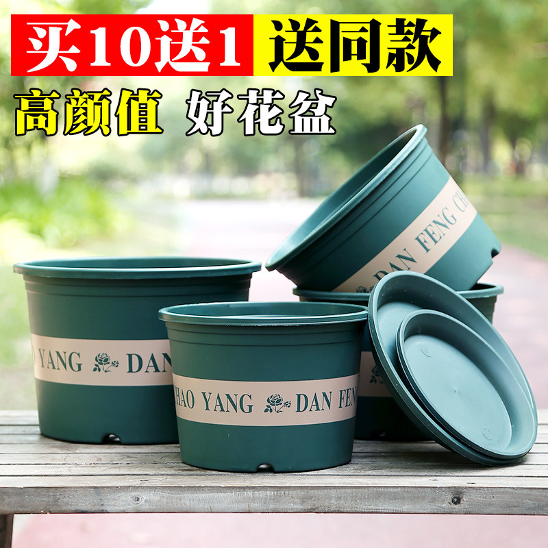 New Short Fat Gallon Flower Pot Manufacturer Direct Sales Gold Gge Moon Season Large Caliber Thicken Plastic Control Root Large Flower Pot Clear Barn