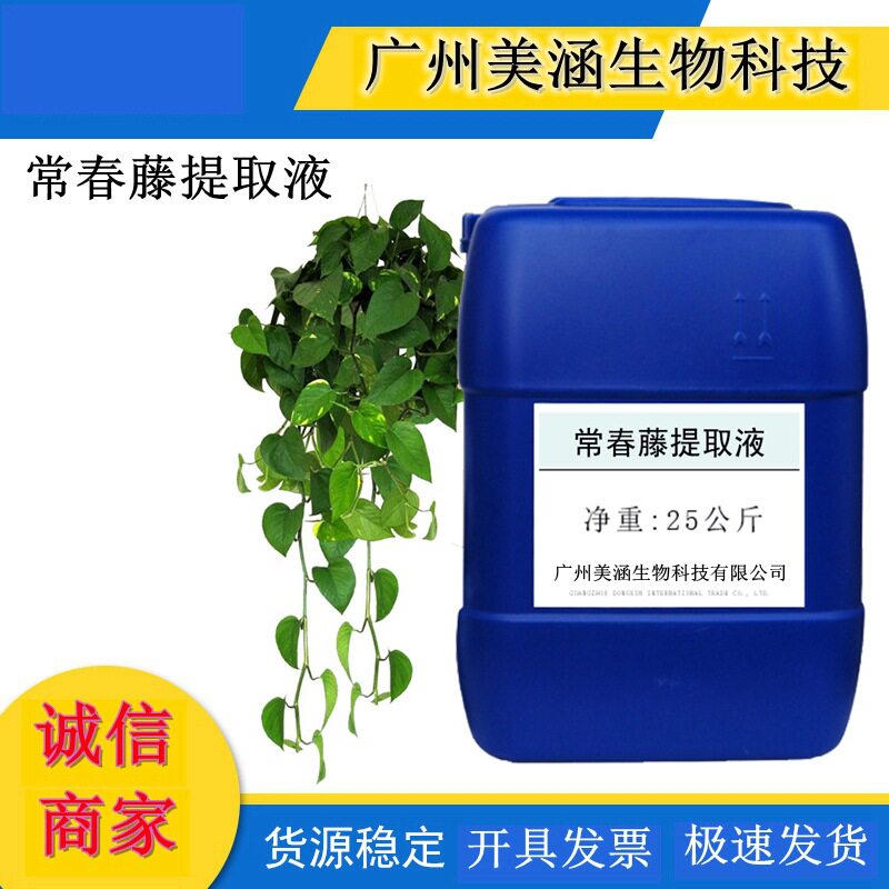 供应优质常春藤提取液 植物提取液 萃取液 厂家直销 1KG起订