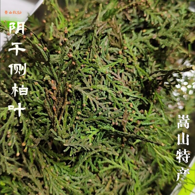 嵩山特产野生扁柏叶:古法阴干,止痒洗发护发神器!-香薰粉-淘宝好物网