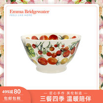 Emma Bridgewater Tomato Medium Retro Bowl Household Cute Ceramic Bowl Hand drawn Rice Bowl