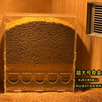 [Обновление] Супер большие пищевые коробки могут быть установлены около 3 фунтов