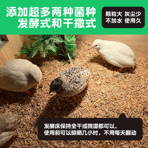 Коляя курица ферментированные матрасы