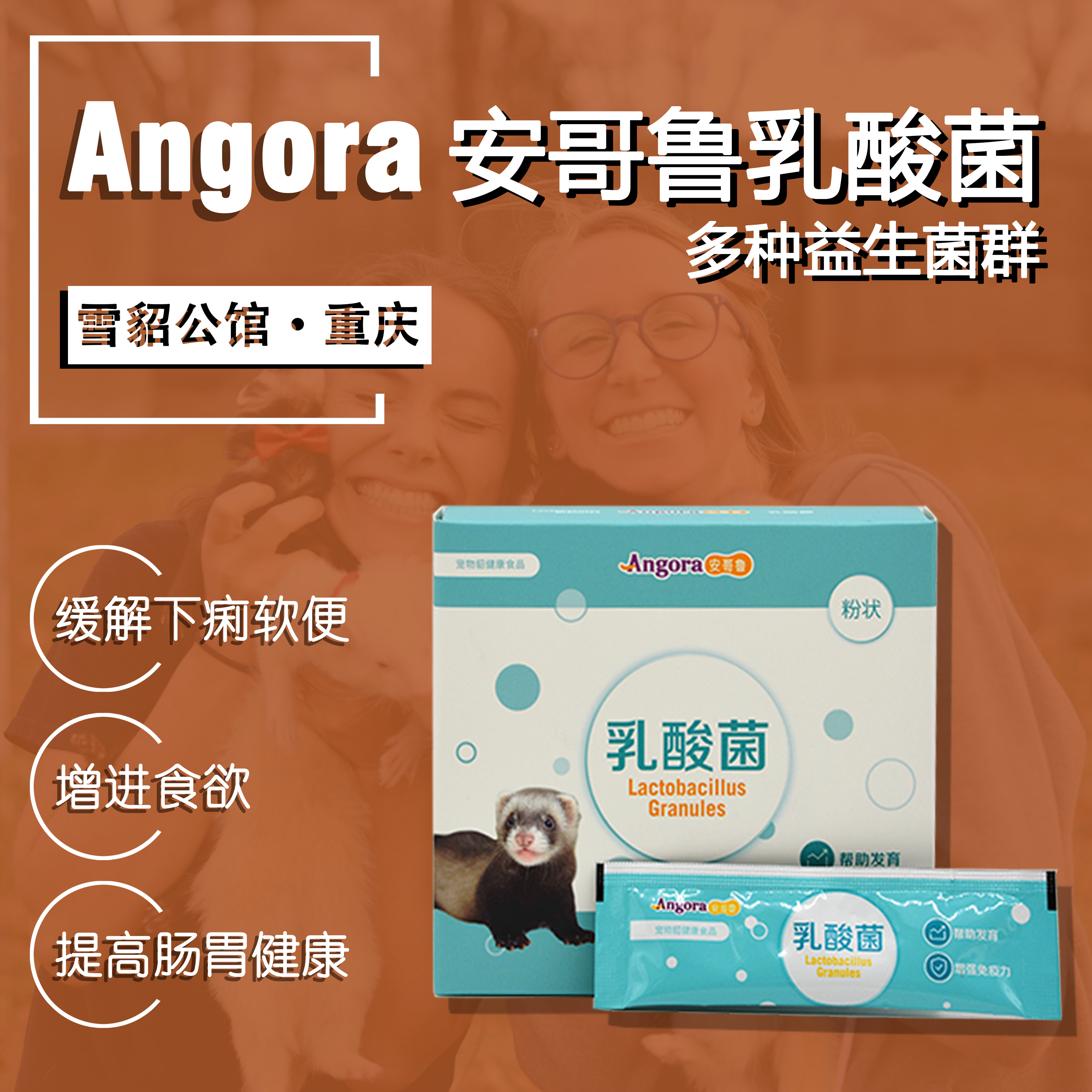 (Lactobacillus) Angoru Pet Mink Ferret Health Products Intestinal Health Relieves Diarrhea - Taobao