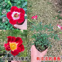 Список новых продуктов [маленький художник], принесите горшки с горшками