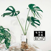 Одиночная высота на 50 см. Корп-бассейн, содержащий бассейн