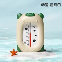 Маленькая милая свиная лаймская белая