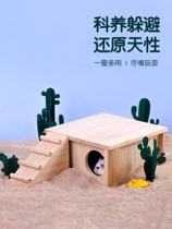 Hamster underground house escape house break through house maze house hole house landscaping house dig tunnel summer wood