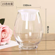 Flower pot glass bottle plant hydroponic green radish ball water glass container fish tank vase 15 dinosaur eggs medium