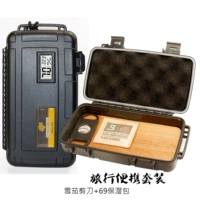 Желтый кедровый дерево+69 пакетов+разреза