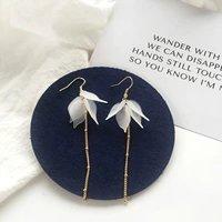 Пара лепесток длинных крючков для ушей