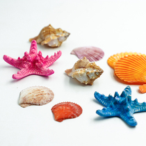 Starfish ocean shell photo props Cosmetics jewelry Nail art posing ins net celebrity photography shooting props