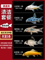 За исключением случаев, когда водоросли ~ сосание остаточного приема наборов (всего 5)