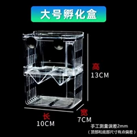 [Основное для сырой рыбы] большая инкубационная коробка