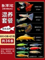 [40-60 см] Рыба (трава) набор цилиндров (всего 36)