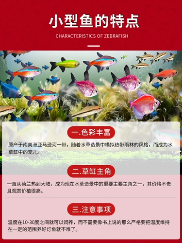 Тропическая декоративная рыба полезна для красной и зеленой рыбы рыбы пресноводная золотая рыба.