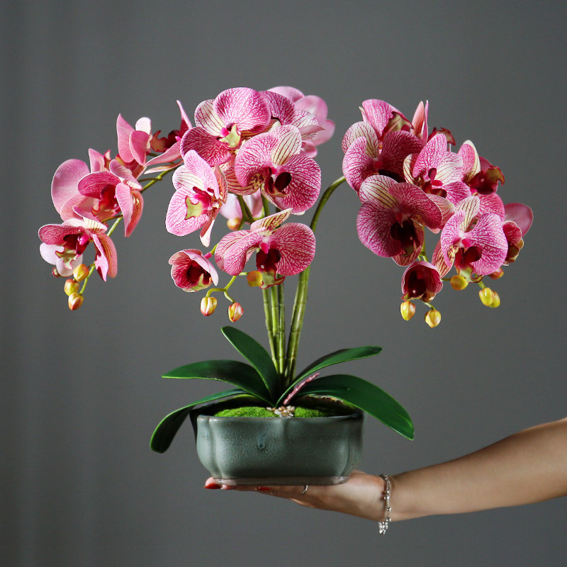 Sense Butterfly Orange Simulation Flower Room High-end Decoration Fake Flower Art Fittings Tea Select Pot TV Cabinet