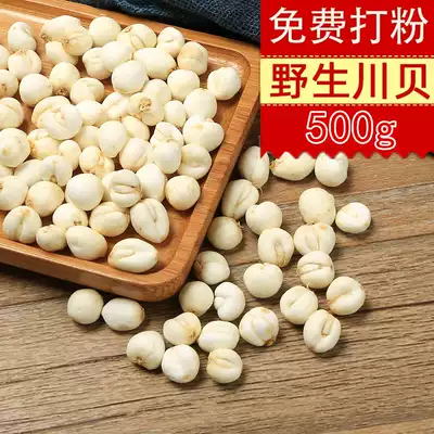 Sichuan Sichuan Fritillaria mother powder non-flat shell Tibetan shellfish imitation wild Fritillaria Chinese herbal medicine free powder 500g powder